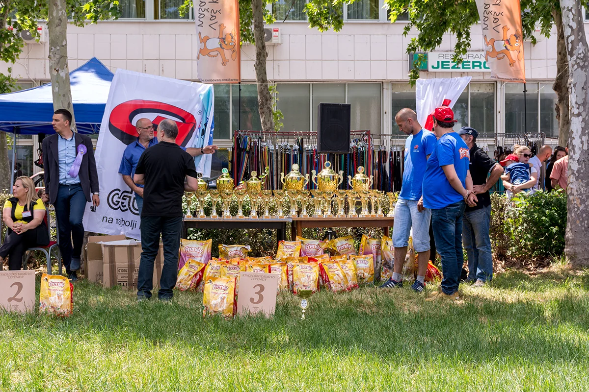 dog show of all breeds in Kragujevac, hostel Fiona for guests 